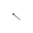 Hobie Hobie Cotter Pin 3/32'' x 3/4'' Ss