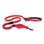 EzyDog EZYDog Road Runner Leash