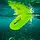 Aqua Bound Bending Branches Aquabound Sting Ray FG Snap Button
