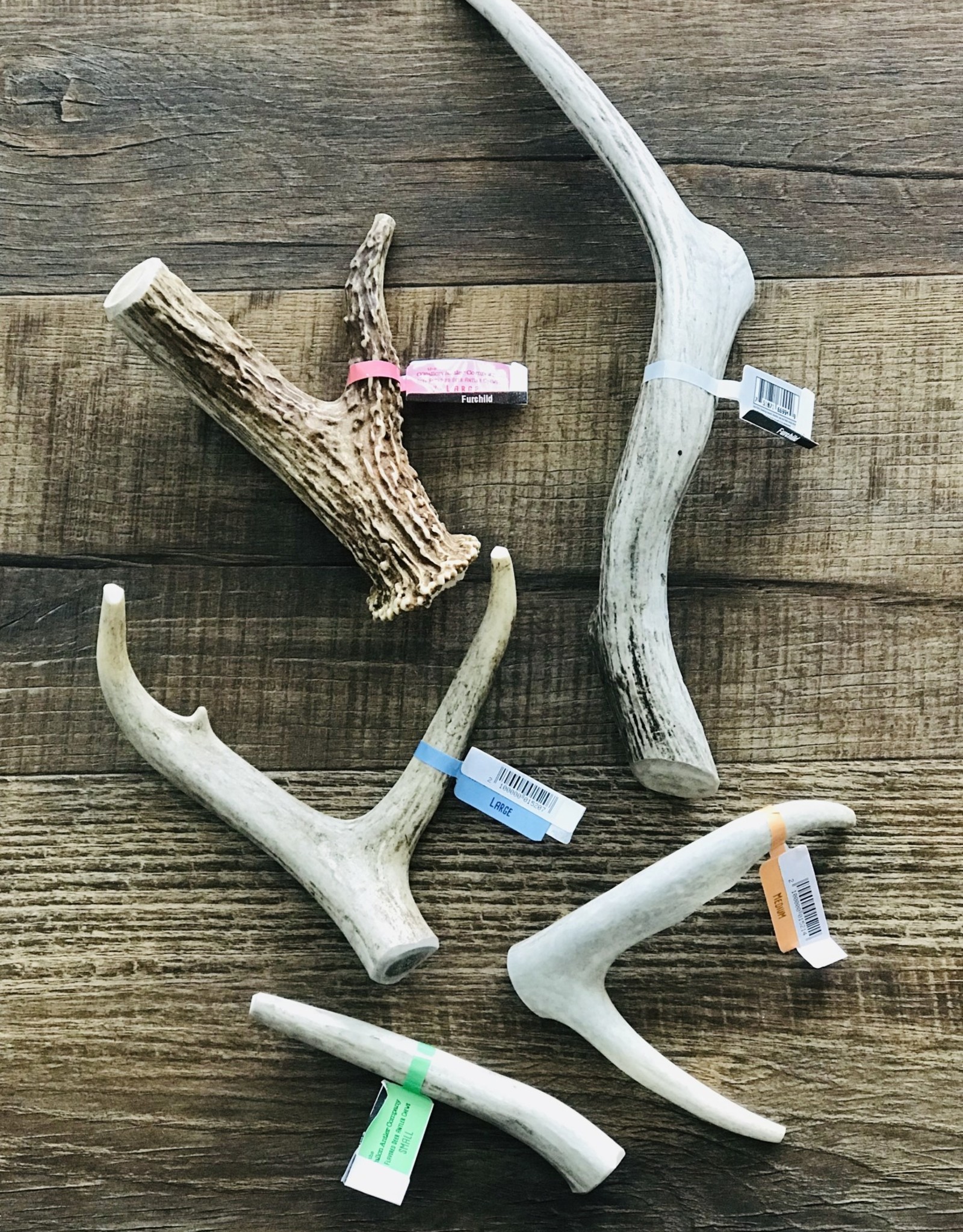 The O'Fallon Antler Company Deer Antler