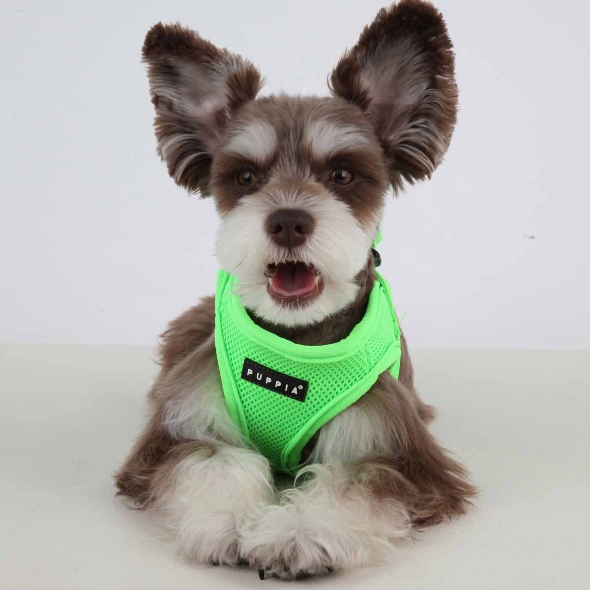 Puppia neon best sale harness