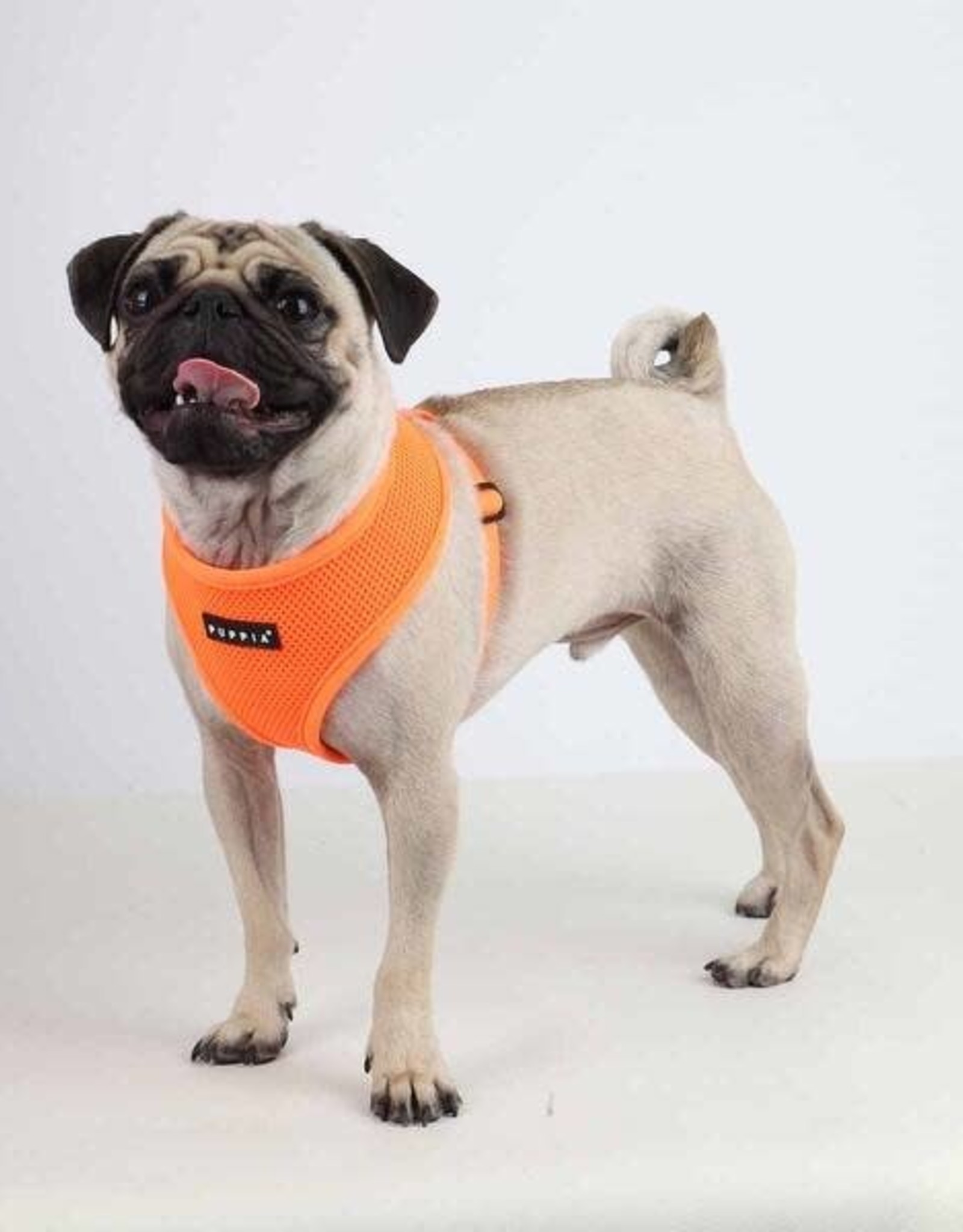 Puppia Neon Orange Harness - Furchild