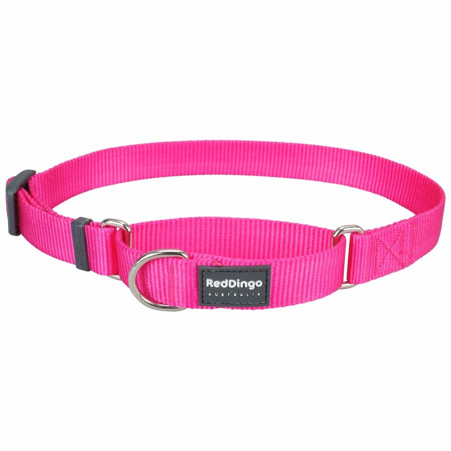 Pink martingale collar 2025
