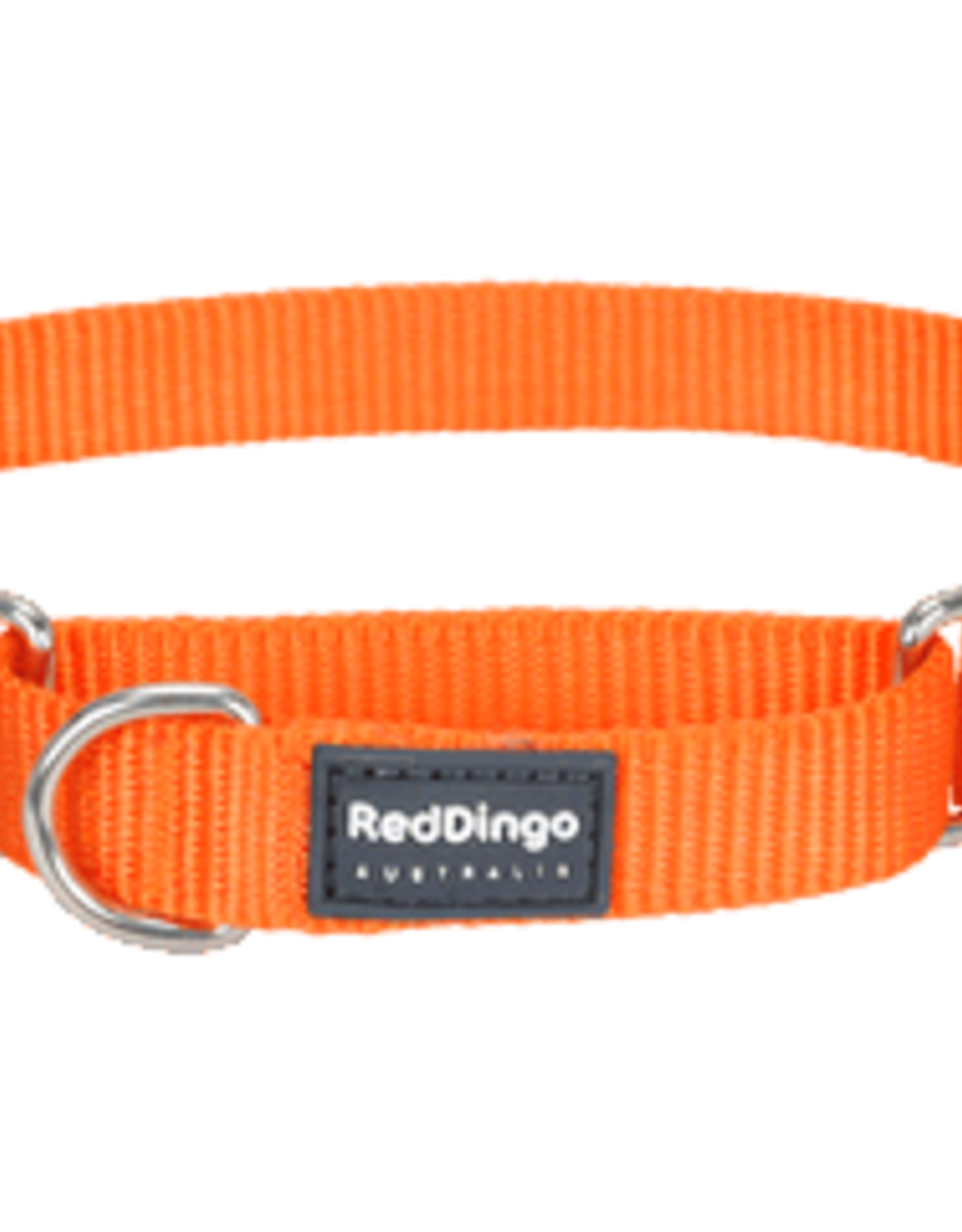 Red Dingo Red Dingo Orange Martingale Collar