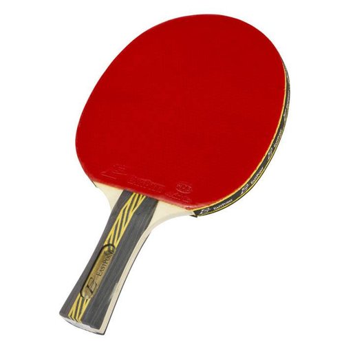Paddle Ping Pong Paddle Ping Pong