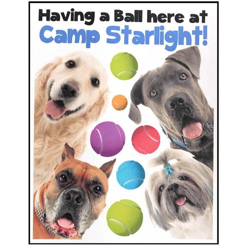 Dogs and Balls Notecards Dogs and Balls Notecards