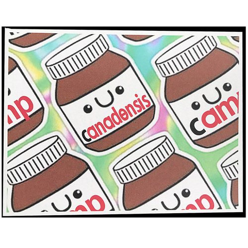 Nutella Notecards Nutella Notecards
