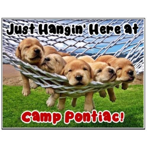 Dogs Hangin' Notecards Dogs Hangin' Notecards