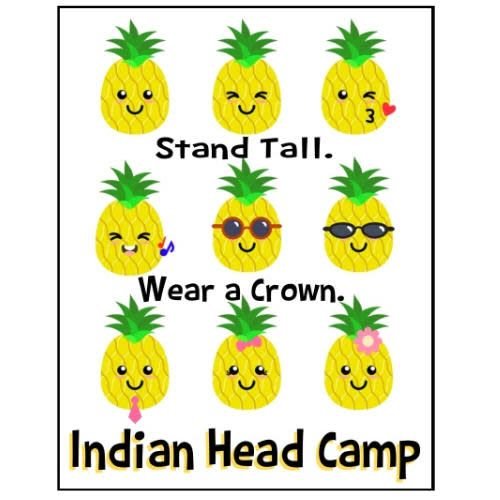 Pineapple People Notecards Pineapple People Notecards