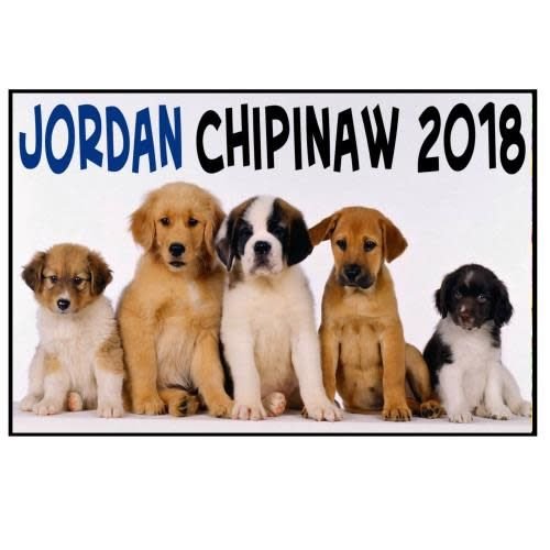 Puppies Poster Puppies Poster