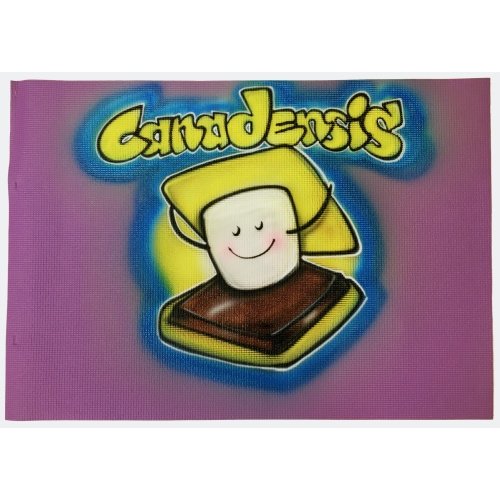 Airbrushed S'Mores Mat Airbrushed S'Mores Mat