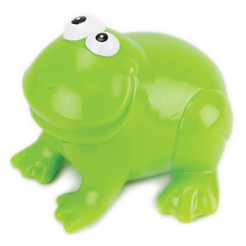 Frog Animail Frog Animail