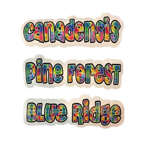 Camp Name Tie Dye Cling-It Camp Name Tie Dye Cling-It
