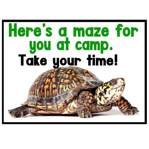 Turtle Maze Camp Card Turtle Maze Camp Card