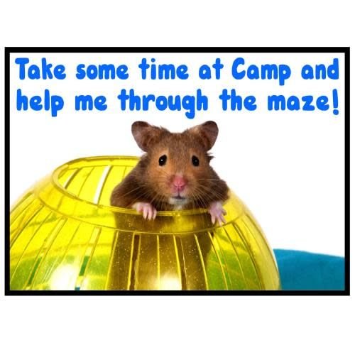 Hamster Maze Camp Card Hamster Maze Camp Card