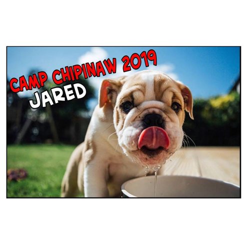 Bulldog Poster Bulldog Poster
