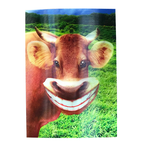 Smiling Cow 3-D Postcard Smiling Cow 3-D Postcard