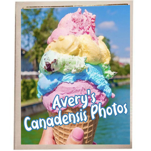 Ice Cream Photo Album Ice Cream Photo Album