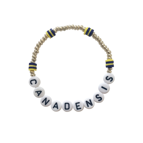 Gold Bead and Camp Color Bracelet Set Gold Bead and Camp Color Bracelet Set