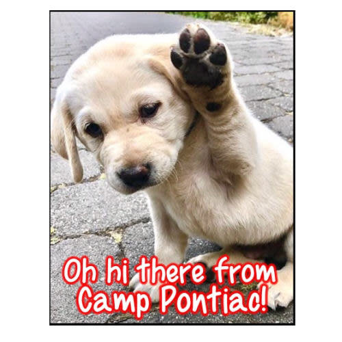 Sweet Puppy Notecards Sweet Puppy Notecards