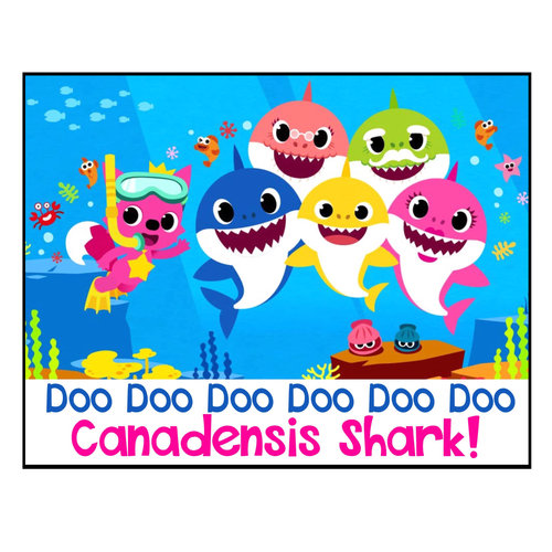 Baby Shark Notecards Baby Shark Notecards