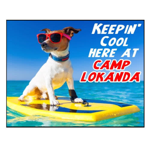 Surfs Up Dog Notecards Surfs Up Dog Notecards
