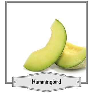 JoJo Vapes Hummingbird