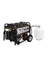 BE BE9400DFS 9400 Watt Dual Fuel Generator