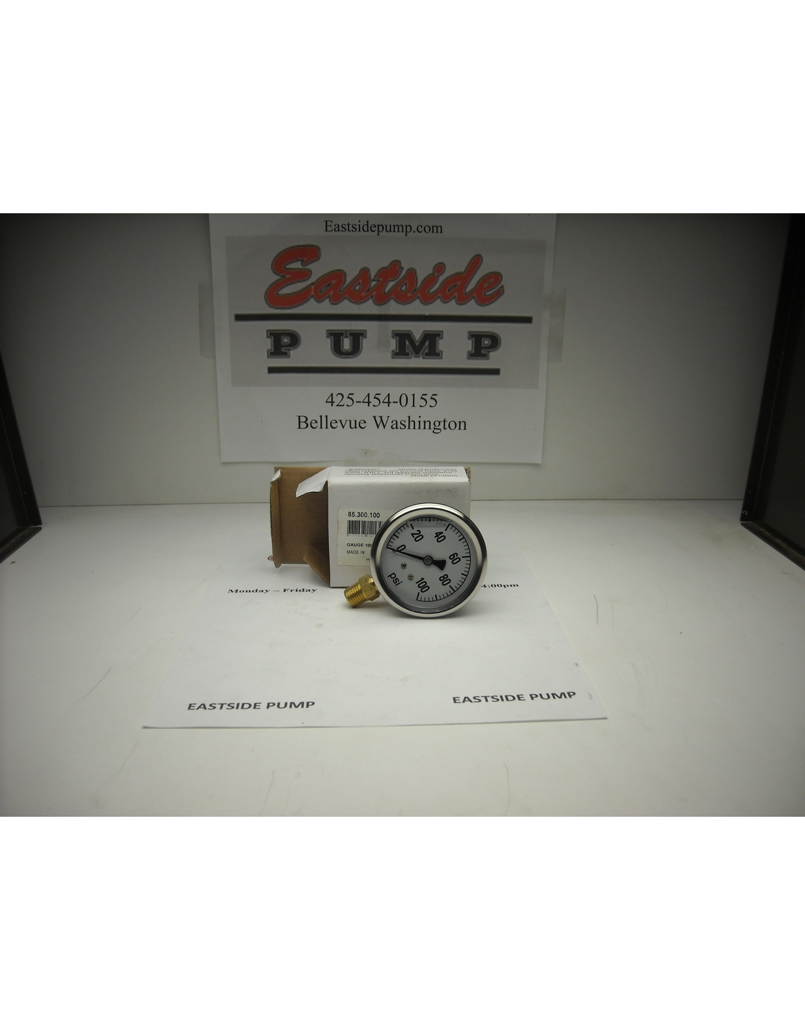 BE 85.300.100 BE Gauge 100psi. Stainless Steel Glycerin Pressure Gauge