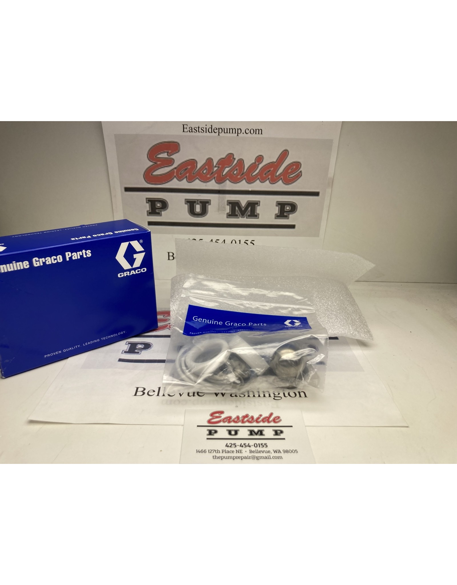 Graco 237236 PTFE Packings Repair Kit, Dura-Flo 600 Lowers