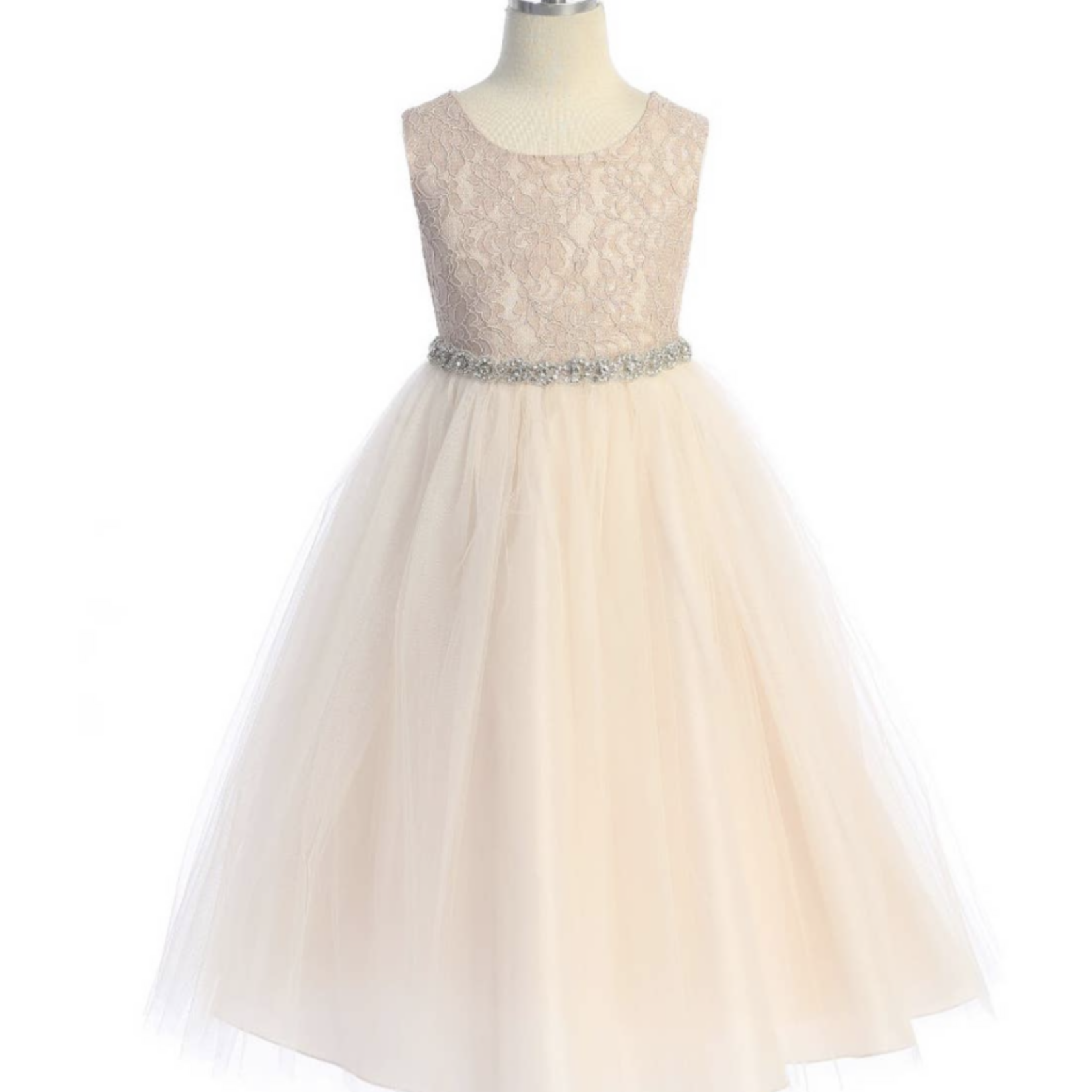 Rhinestone Trim Lace Dress (Blush)