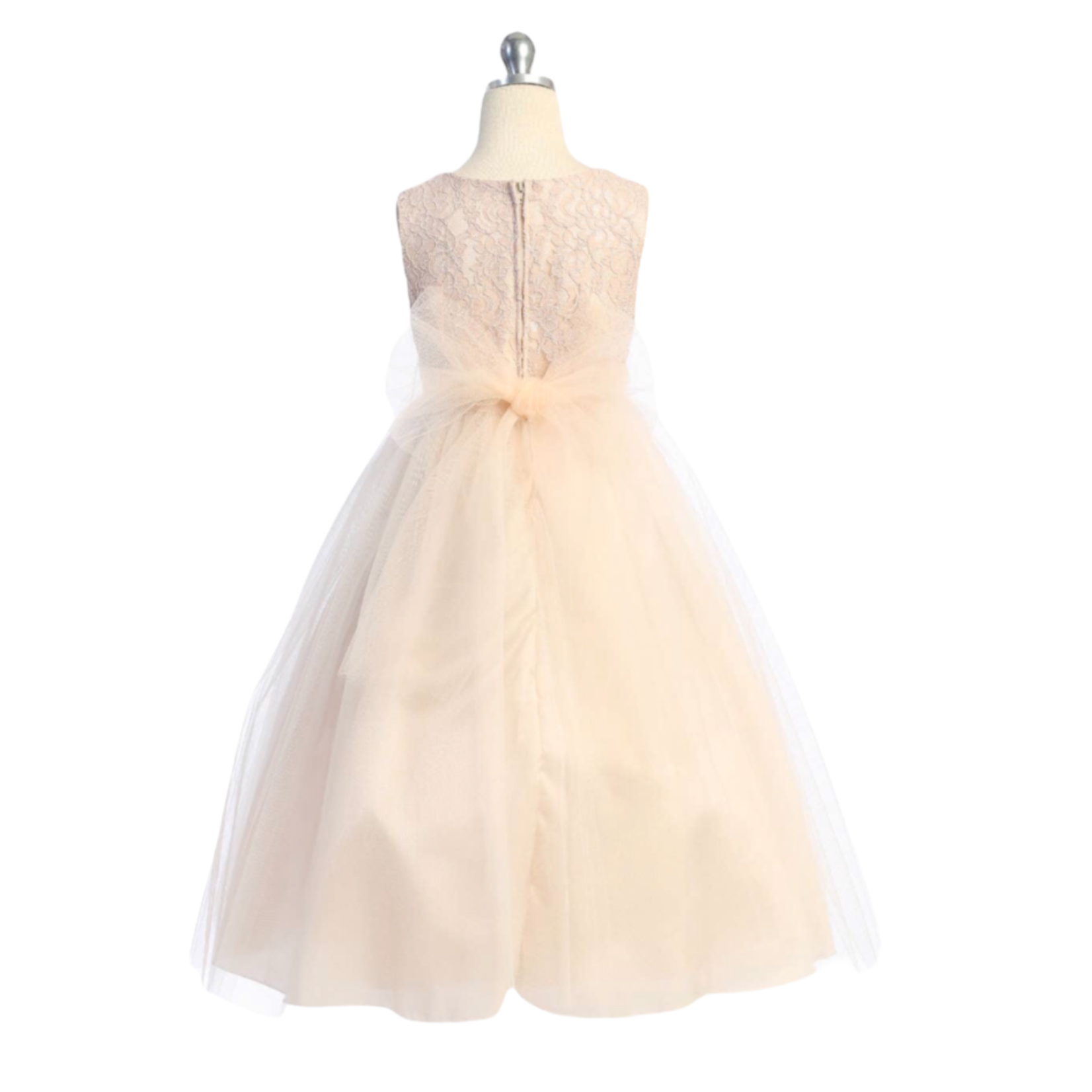 Rhinestone Trim Lace Dress (Blush)