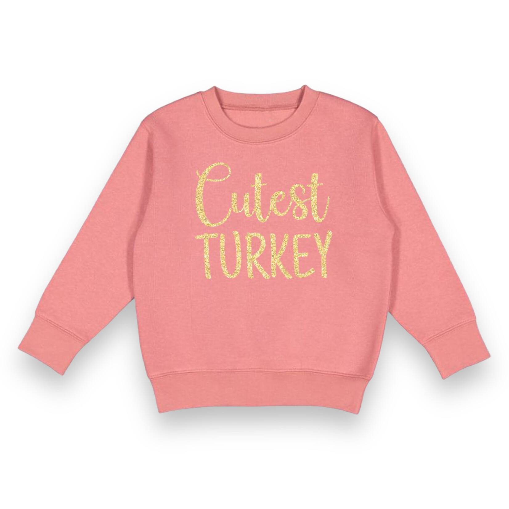 Sweet Wink Cutest Turkey Crewneck (Size 2T)