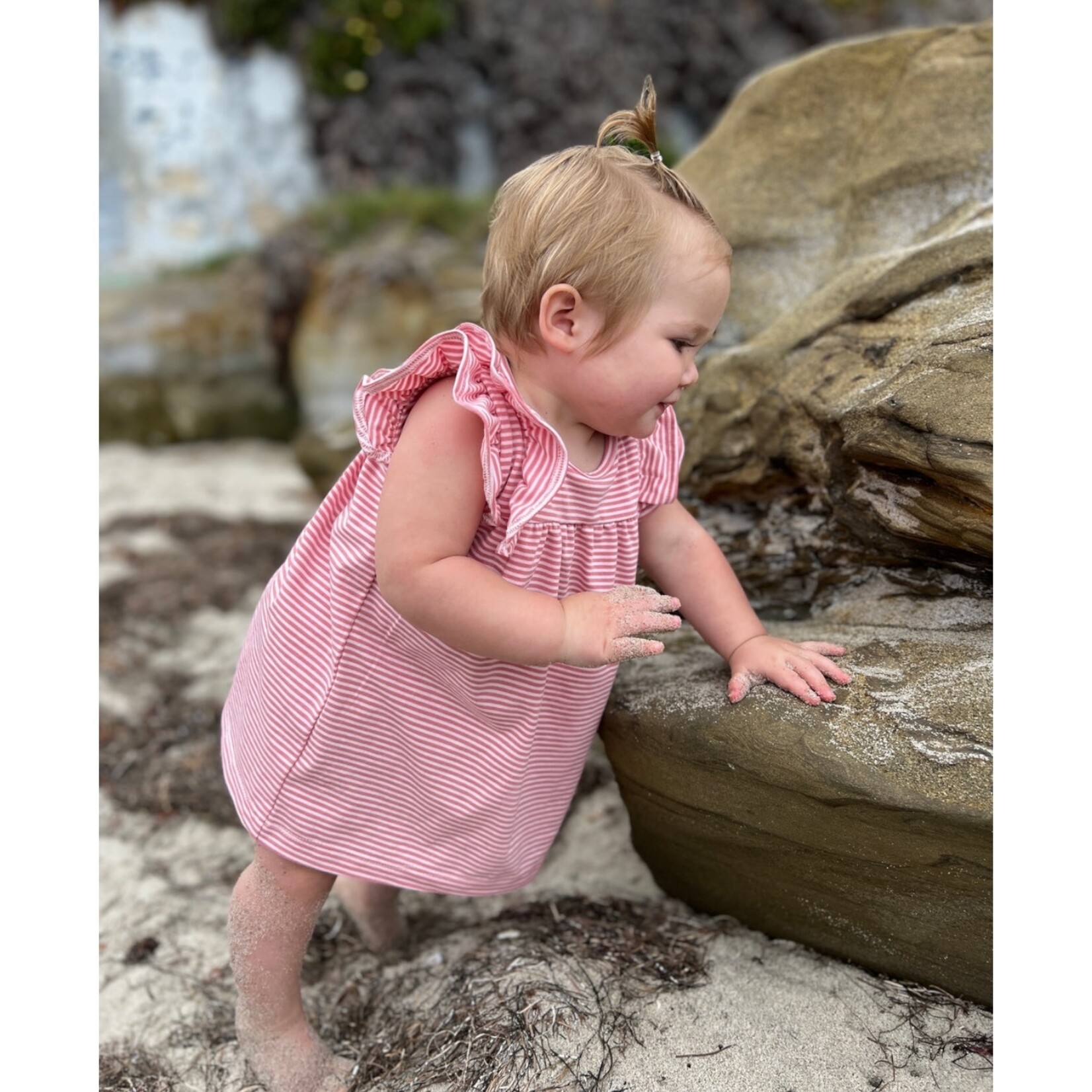 Vignette Berry Stripe Jenn Dress