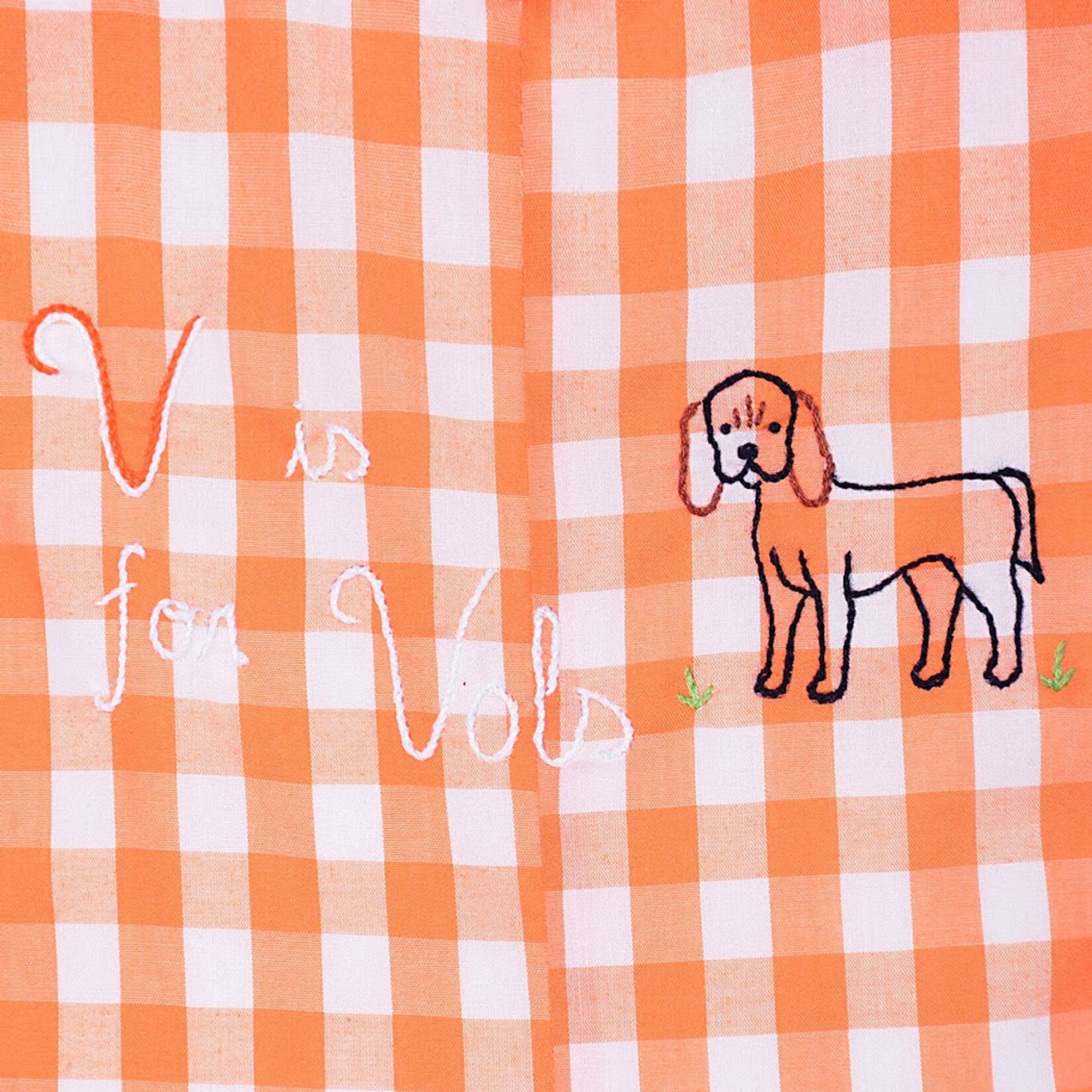 Southern Saturday V is for VOLS Embroidered Dress