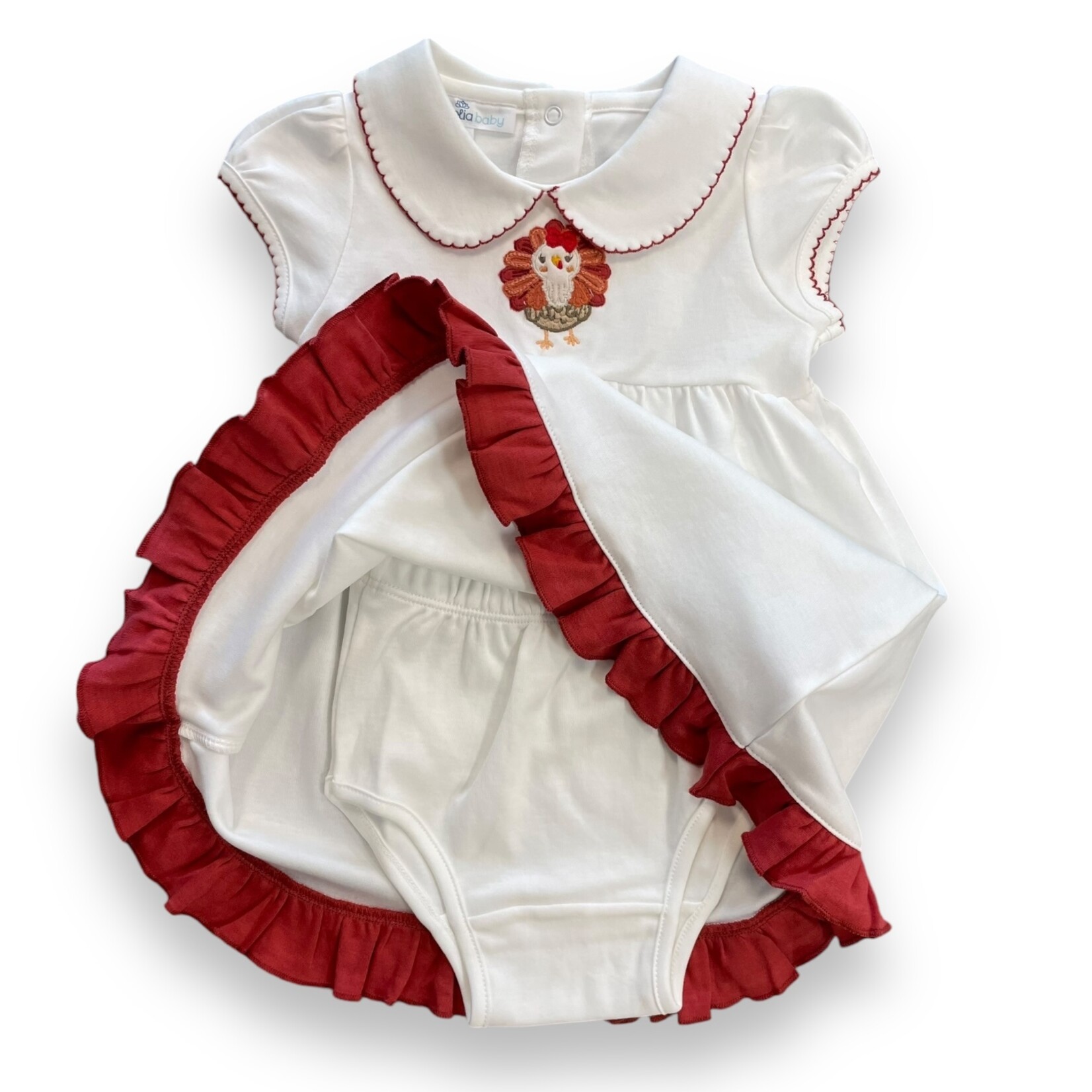 Giving Thanks Turkey Dress Set (Size 12M)