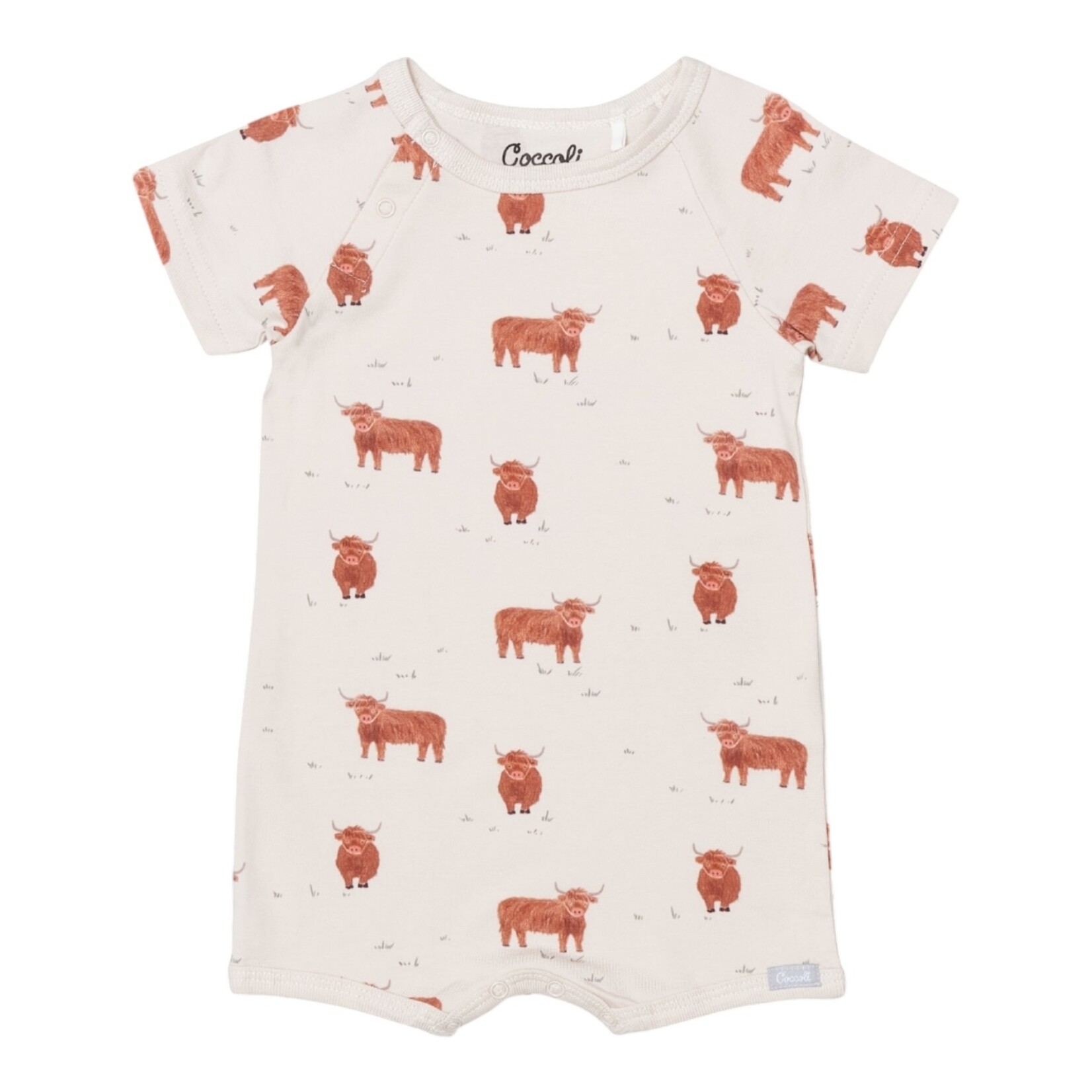 Coccoli Highland Cow Shortall