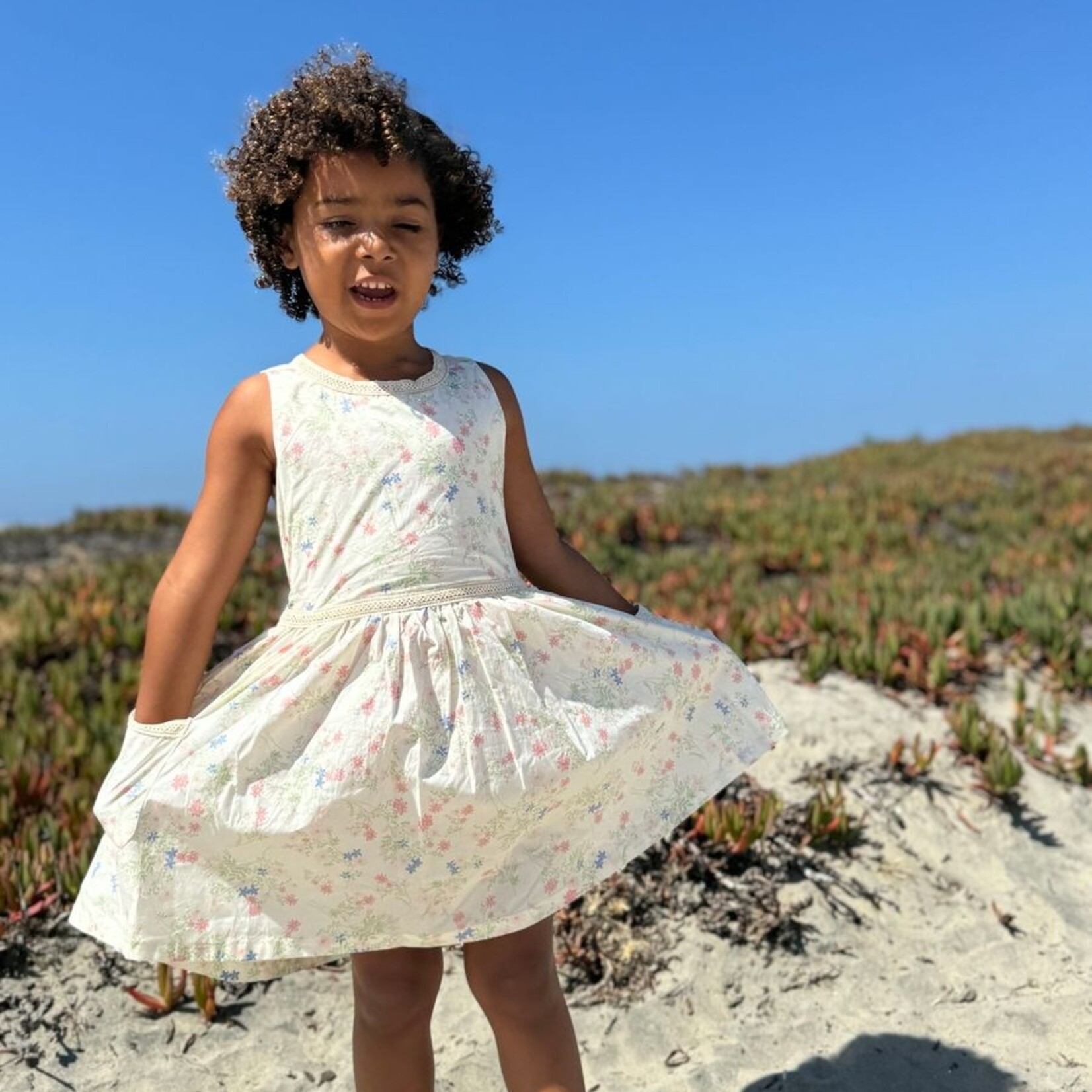 Vignette Pink Meadow Nina Dress