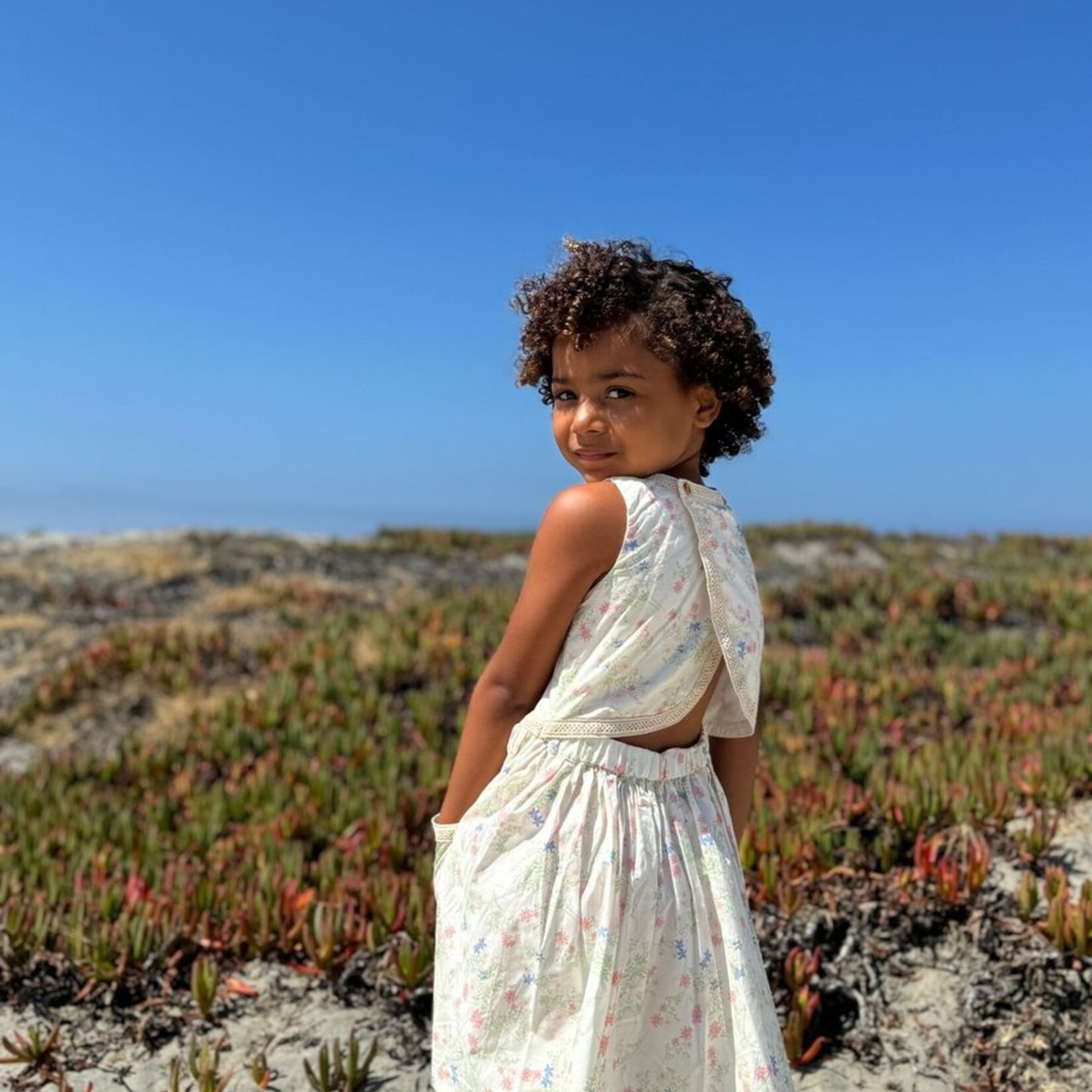 Vignette Pink Meadow Nina Dress