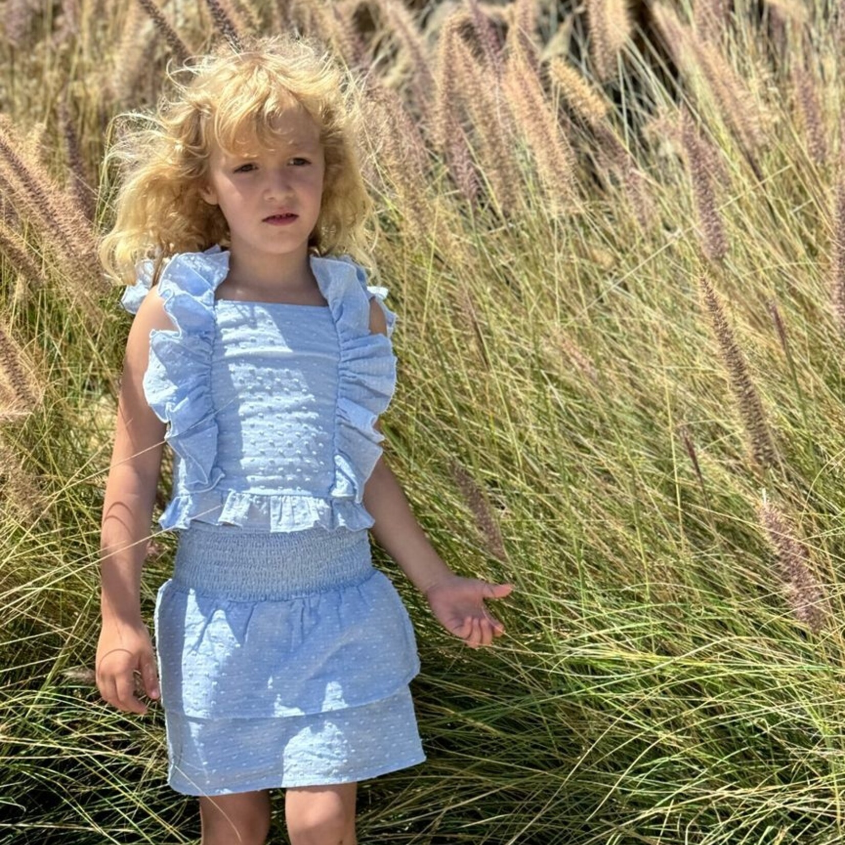 Vignette Chambray Darcy Skort