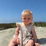 Vignette Oatmeal Shelby Dress