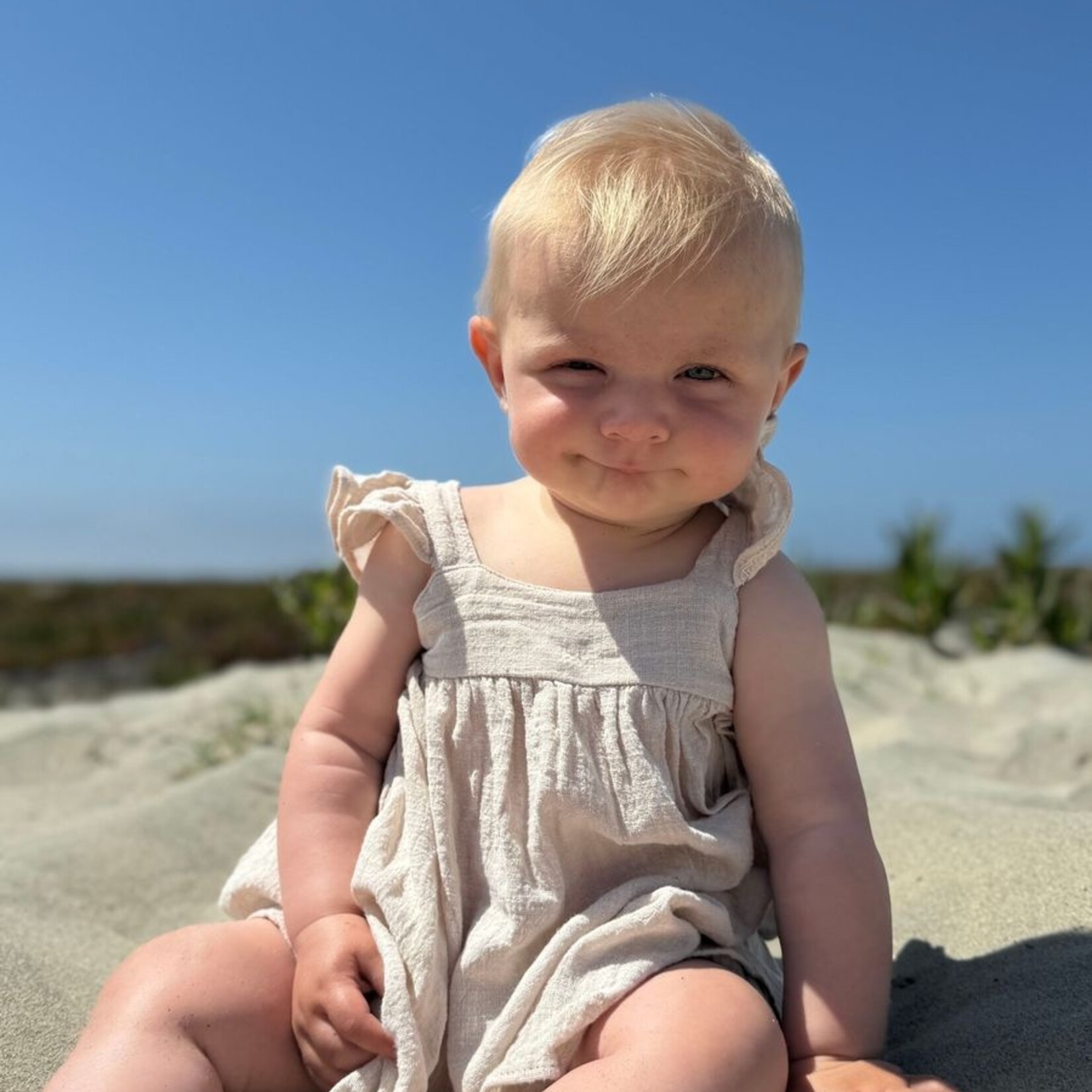 Vignette Oatmeal Shelby Dress