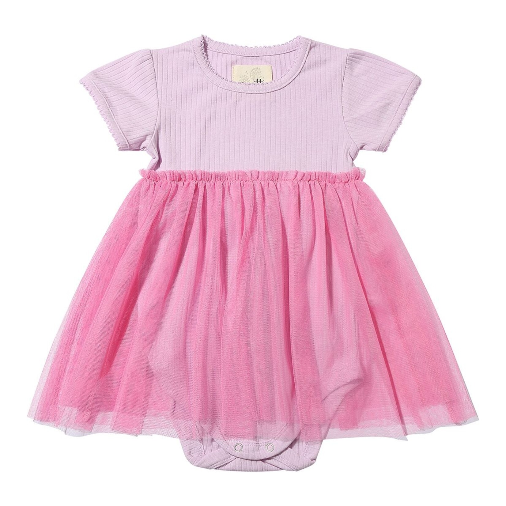 Vignette Lavender/Pink Penelope Tutu Dress