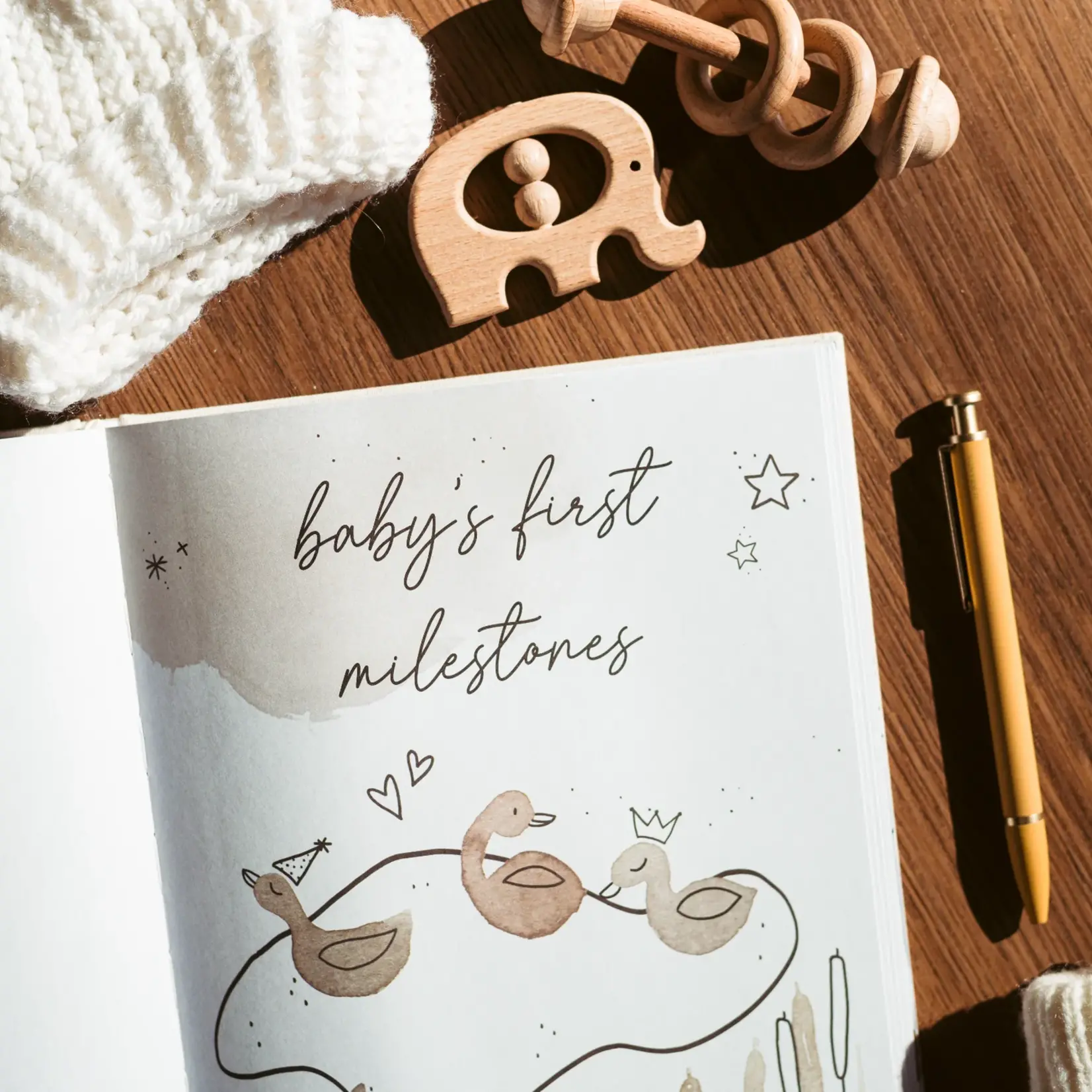 Duncan & Stone Paper Co. Baby's First Year Memory Book