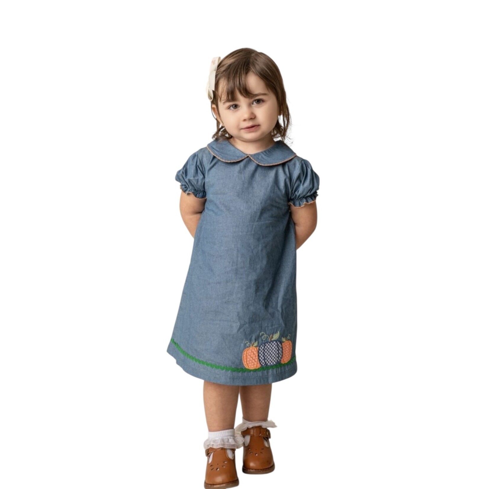 Three Sisters Pumpkin Patch Chambray Dress