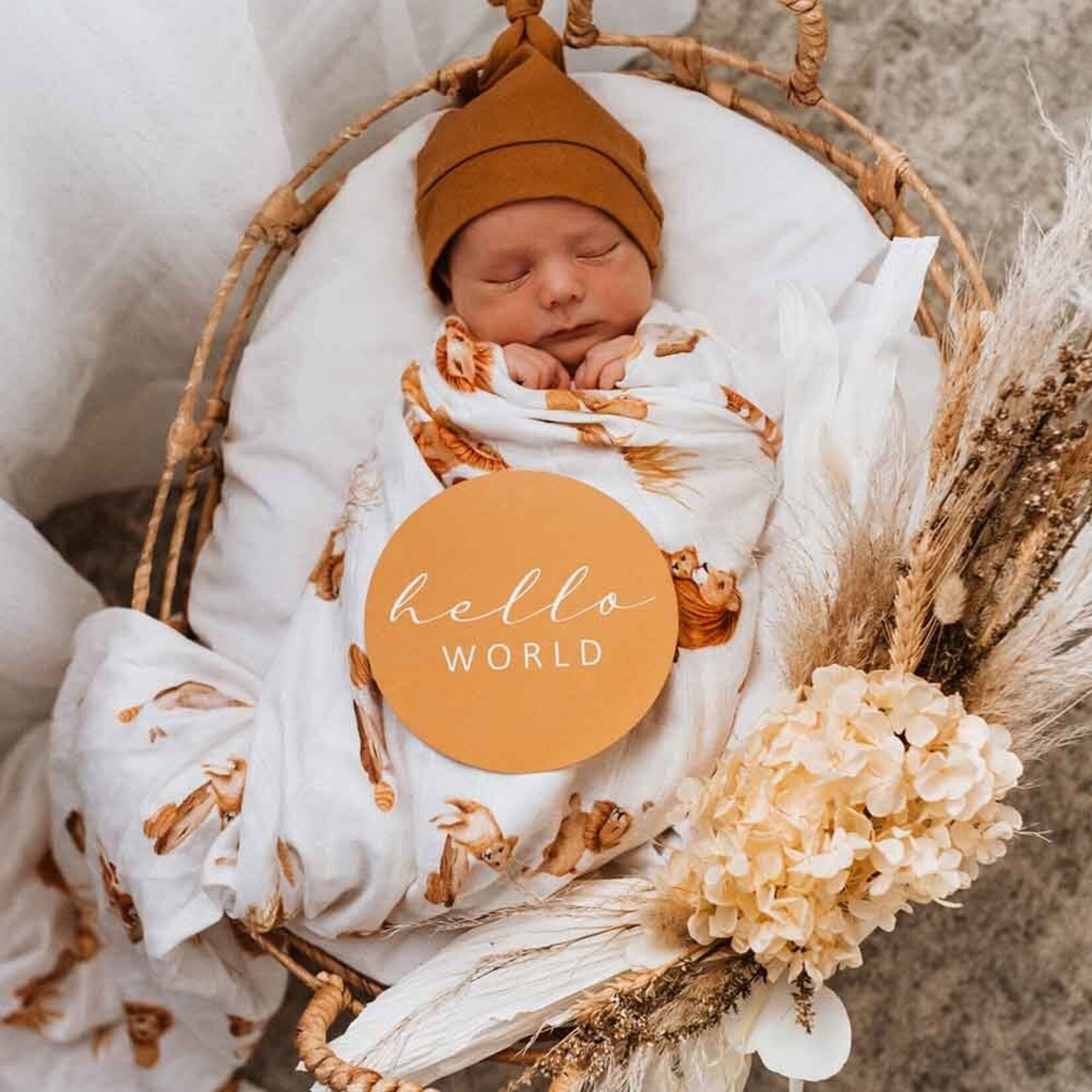 Snuggle Hunny Lion Milestone Cards