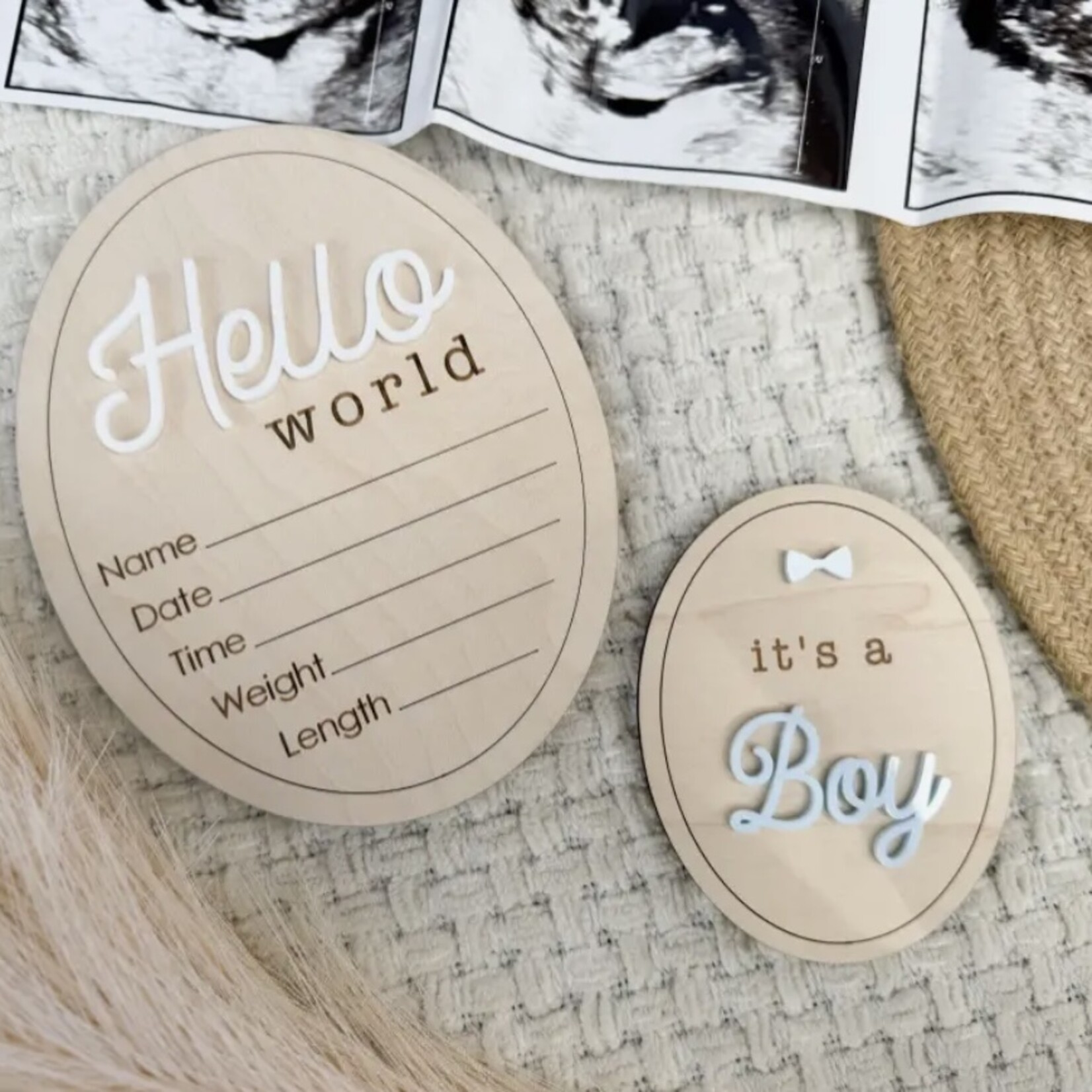 The Olive Branch Hello World (6” Oval)