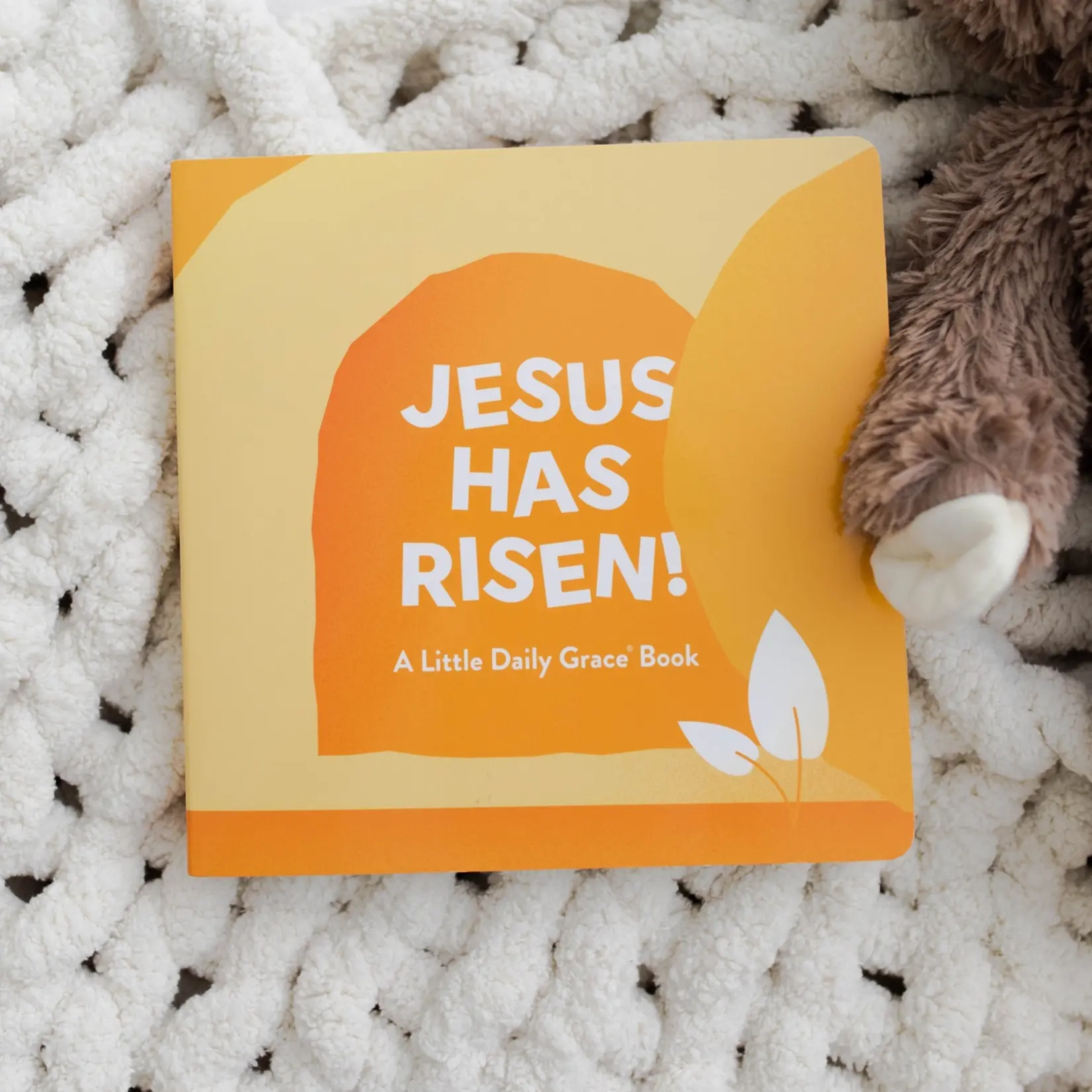 The Daily Grace Co. Jesus Has Risen Book