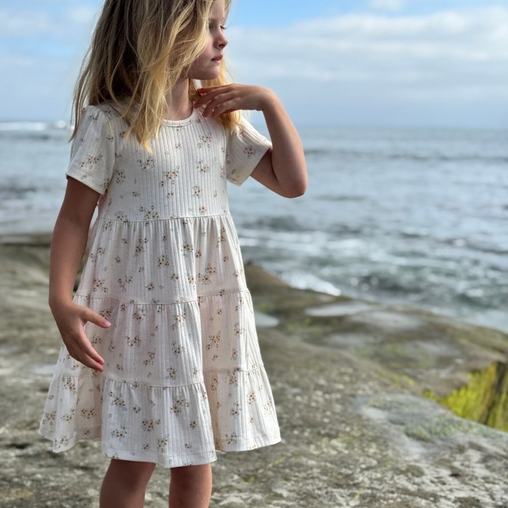 Vignette Cream Ditsy Floral Iona Dress