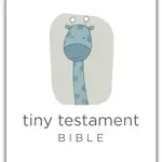 Zonder Kids NIV Tiny Testament Bible Blue
